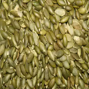 養生無殼南瓜仁(300克)