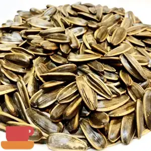 盛香珍 日月潭紅茶葵瓜子(600克)